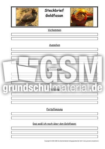 Goldfasan-Steckbriefvorlage.pdf